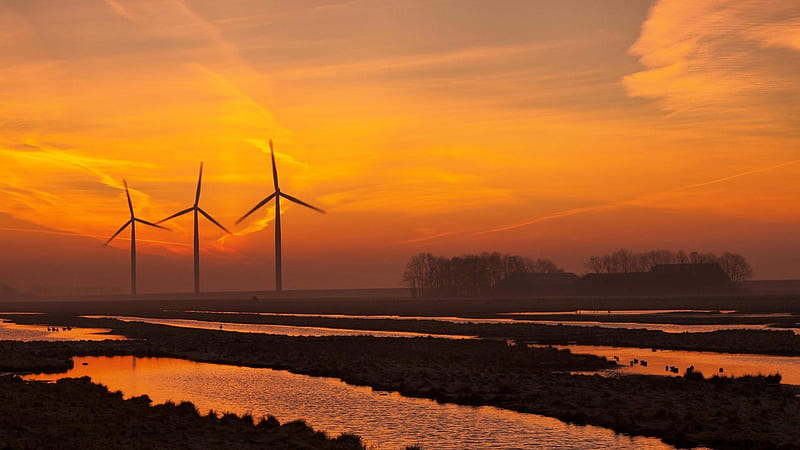 turbine windmills in wetlands at sunset, turbines, windmills, wetland, sunset, cluds, HD wallpaper