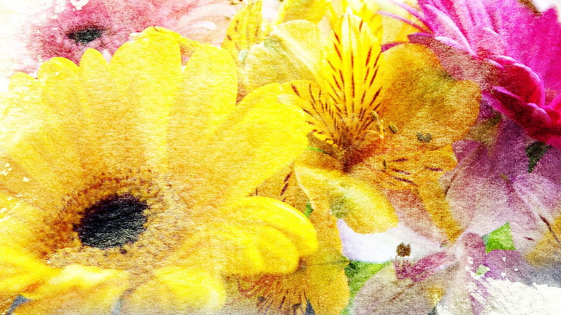Flowers of Sunshine, warm, Gerbera, yellow, sunny, spring, gold, bright, summer, lily, textured, sunshine, pink, daisy, HD wallpaper