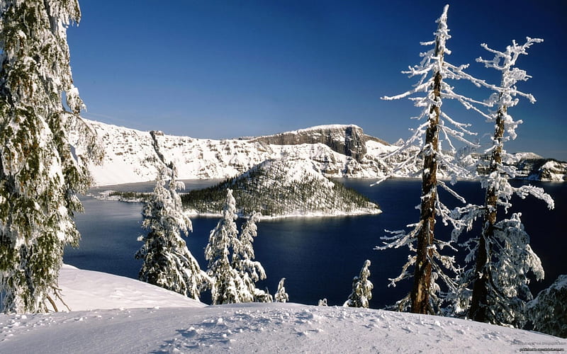 Emerald Bay, Lake Tahoe, snow, winter, landscape, firs, HD wallpaper