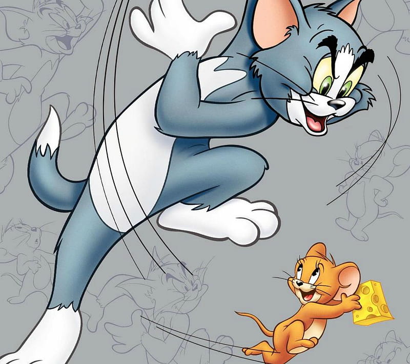 Tom N Jerry, 2012, cartoon, cat, comedy, cool, funny, new, nice, rocky, HD  wallpaper | Peakpx