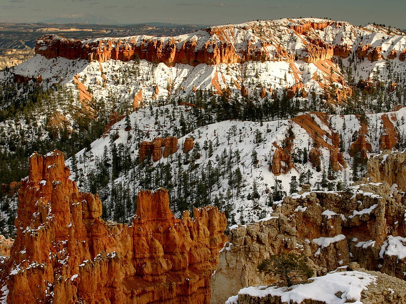 Ice-Cold-Hoodoos, utah, bryce, canyon-national-park, ice-cold, hoodoos, HD wallpaper