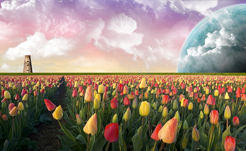 Cool Tulips, planets, bonito, clouds, holland, nice, flowers, tulips, pink, blue, art, amazing, moons, colors, nederlands, sky, cool, purple, awesome, earth, HD wallpaper