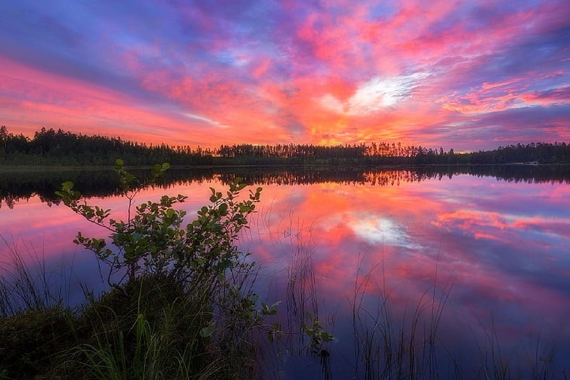 Sunrise in Kivilampi, fall, lakes, autumn, colors, love four seasons ...