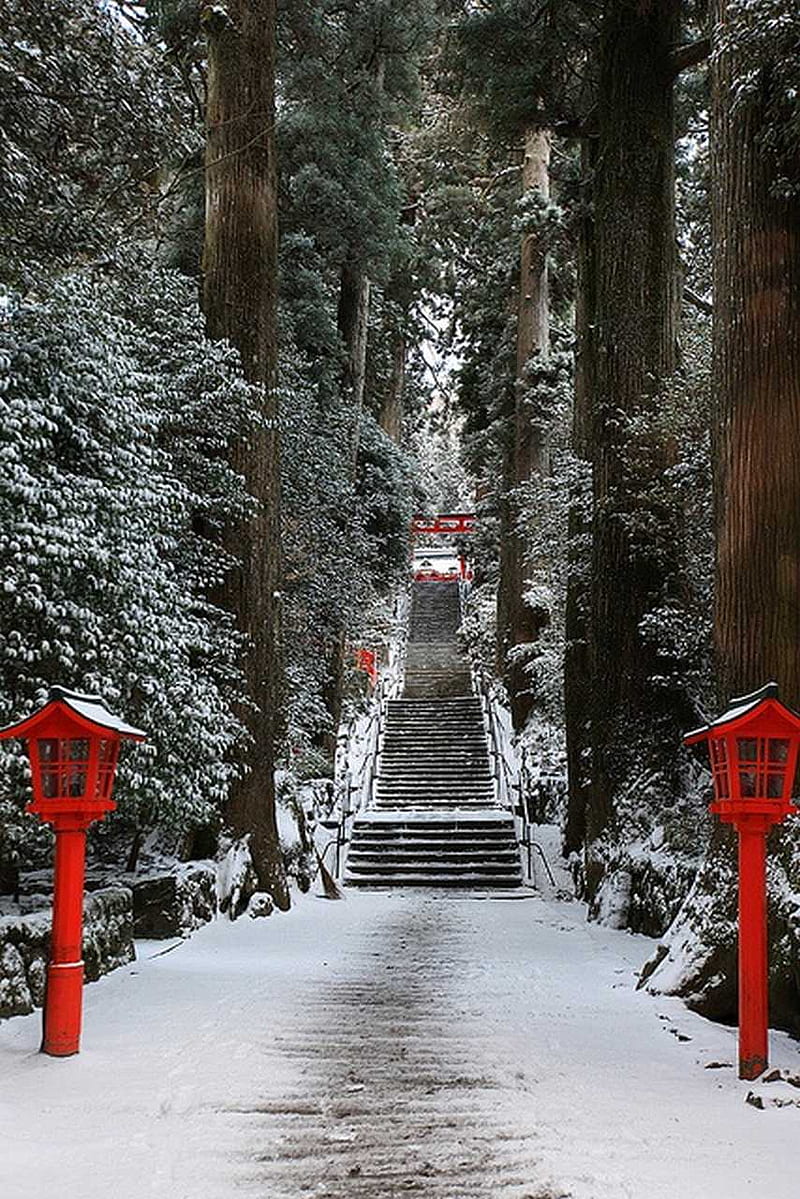 Imperial Gardens, ancient, gardens, japanese, sacred, stairs, steps, winter, HD phone wallpaper