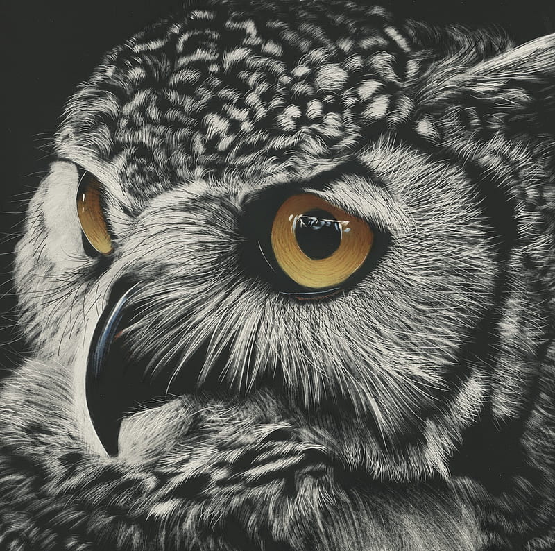 Owl, art, bufnita, bird, pasare, black, white, eyes, HD wallpaper