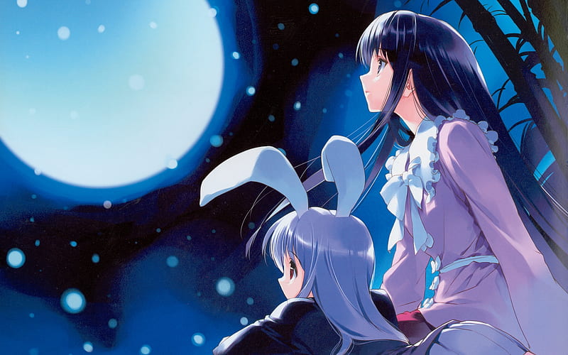 Moon, game, bunny girl, houraisan kaguya, girl, reisen udongein inaba, anime, touhou, night, HD wallpaper