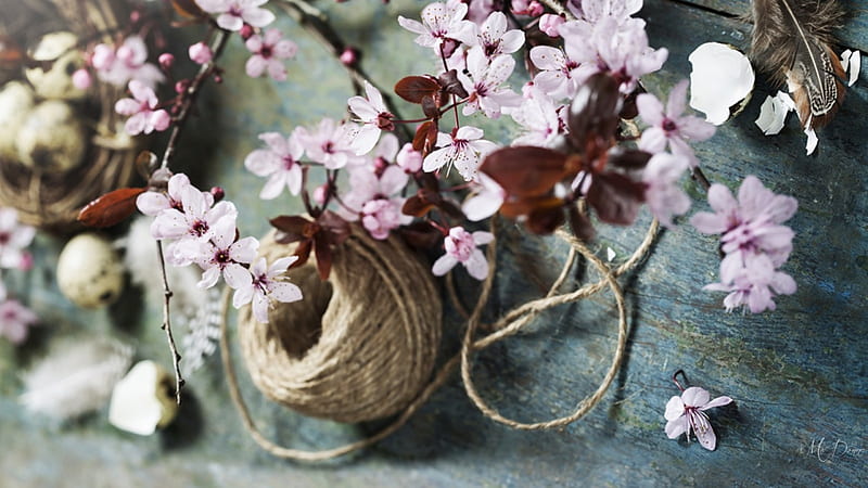 Spring Easter Blossoms, sakura, spring, cherry blossoms, Easter, nest, egg shell, string, flowers, feathers, HD wallpaper