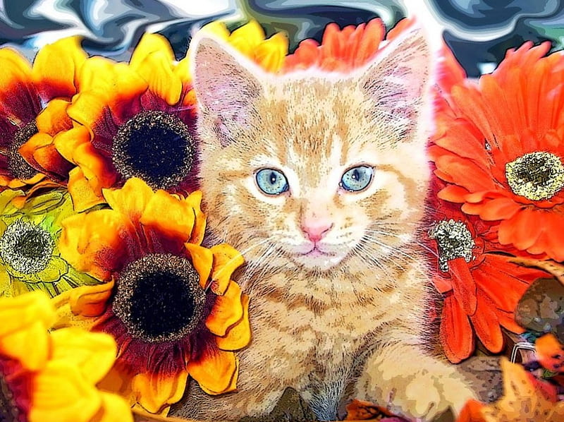 Kitty in Flowers, gazania, sunflowers, painting, kitten, artwork, HD wallpaper
