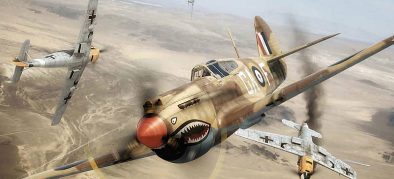 Tomahawk in Action, P-40, Tomahawk, Warbird, Fighter, HD wallpaper