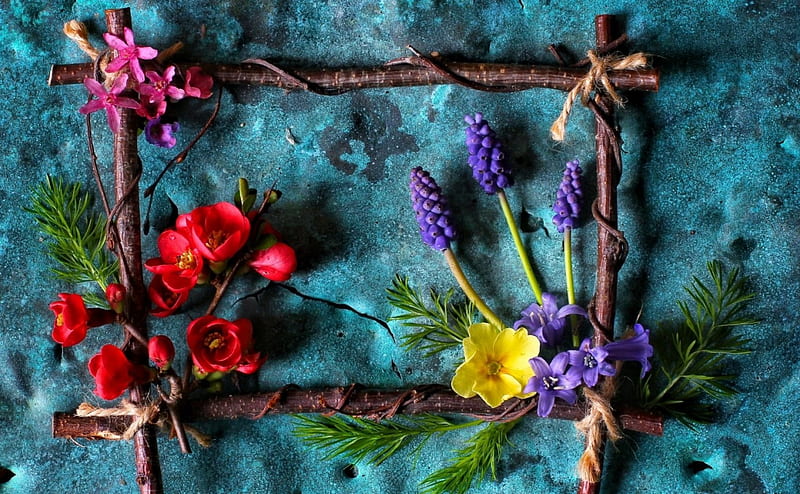 Spring, red, purple, frame, flower, yellow, pink, wood, blue, HD wallpaper