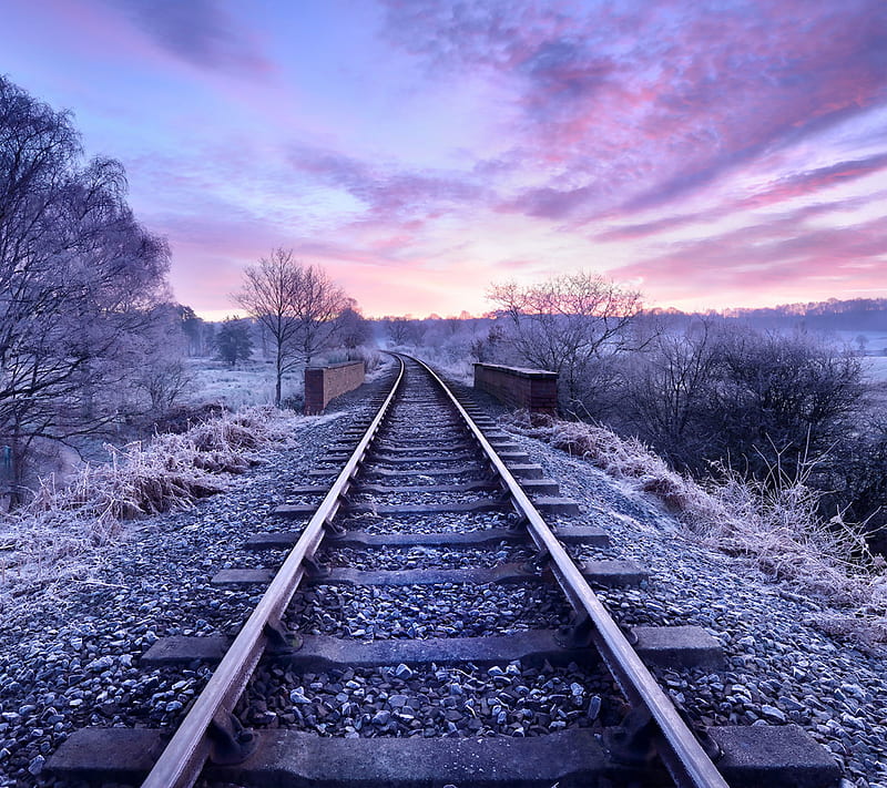 Railroad Tracks, path, rail, railway, sky, train, trees, HD wallpaper