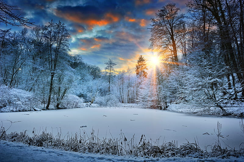 Sunbeams Landscape Snow In Winter Trees , sunbeam, landscape, snow, winter, trees, nature, HD wallpaper