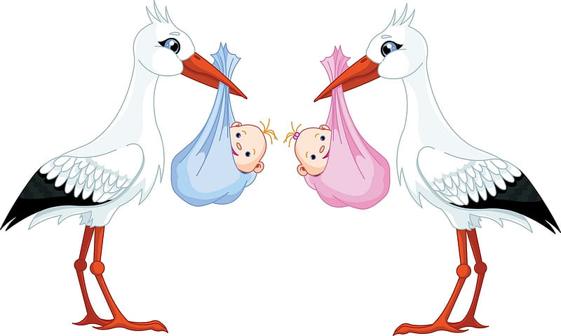 Stork Twins, boy, girl, stork, baby, twins, HD wallpaper