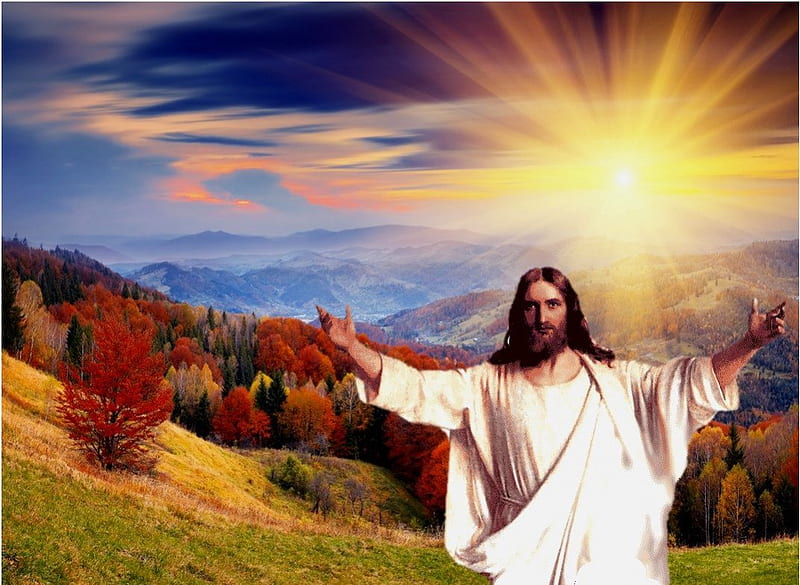 Come to me!!!, christ, tree, jesus, nature, lord, sunshine, HD wallpaper |  Peakpx