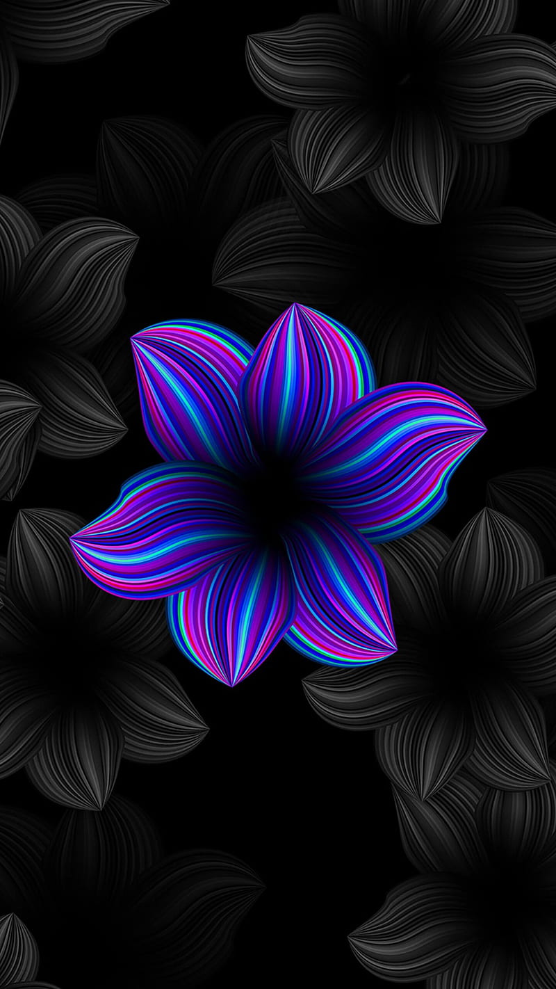 Abstract, beauty, black, flowers, gray, neon, purple, s7, HD phone wallpaper