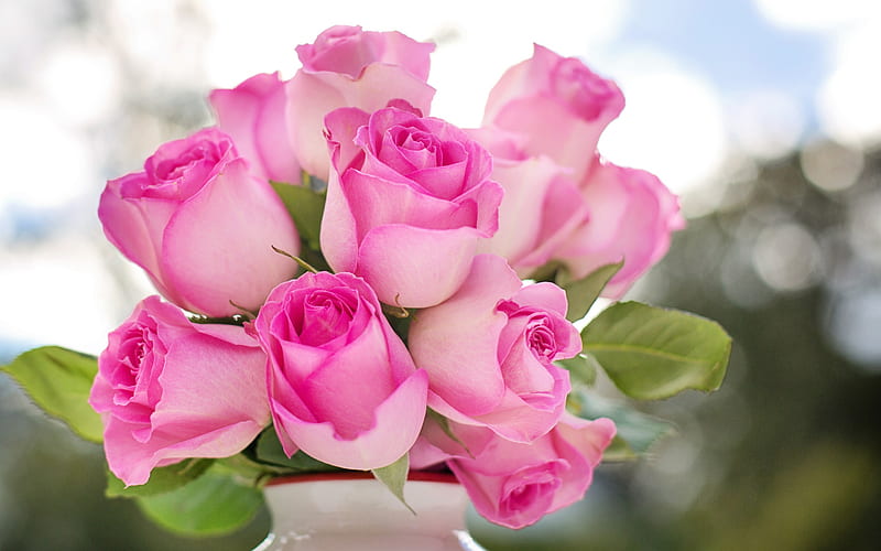 pink roses, white vase, beautiful pink flowers, roses, buds of roses, HD wallpaper