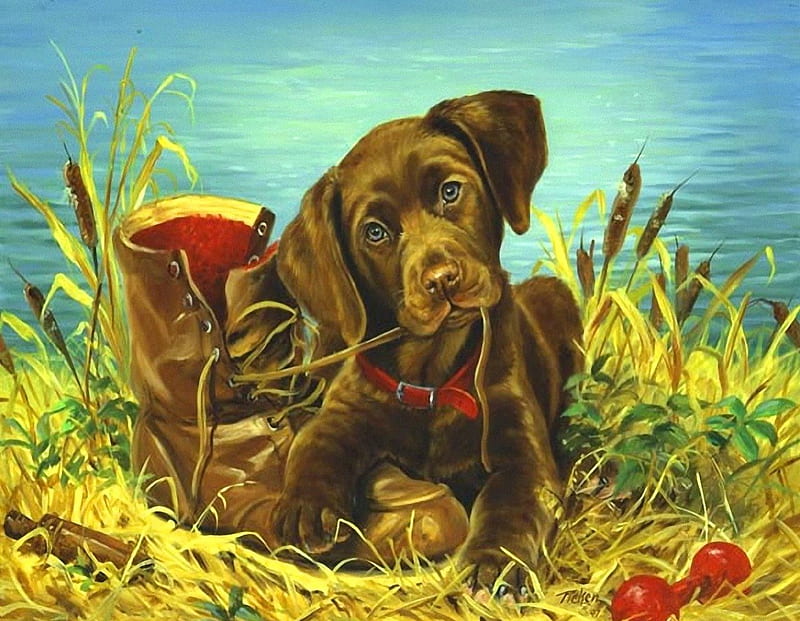 Labrador puppy with a boot, pretty, shore, grass, bonito, adorable, sweet, nice, river, shoe, dog, puppy, lovely, boot, labrador, joy, lake, pond, cute, water, summer, funny, HD wallpaper