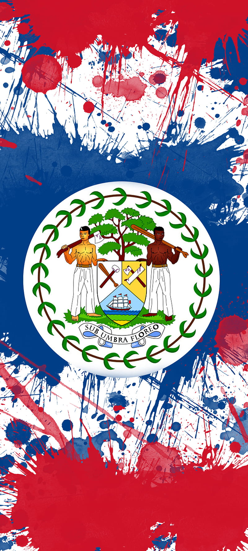 Belize Flag , belizean, bze, flag , flags, HD phone wallpaper