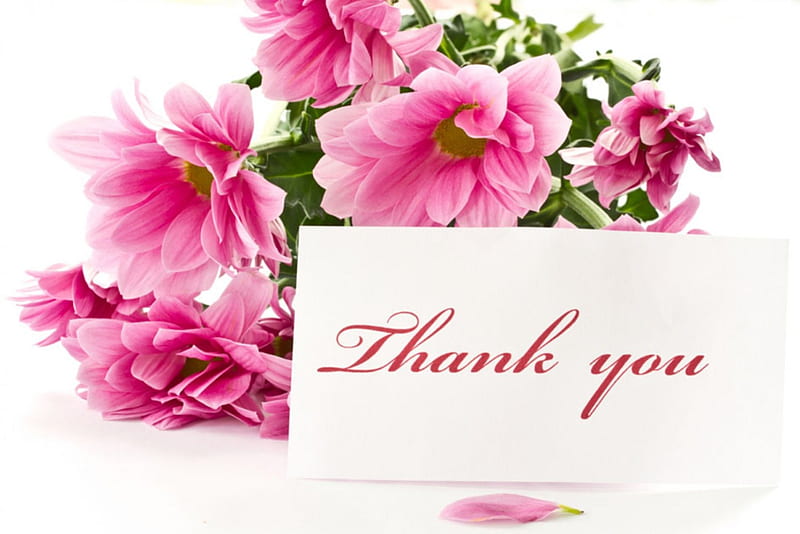 Thank you!, pink flowers, for you, bouquet, tank you, HD wallpaper