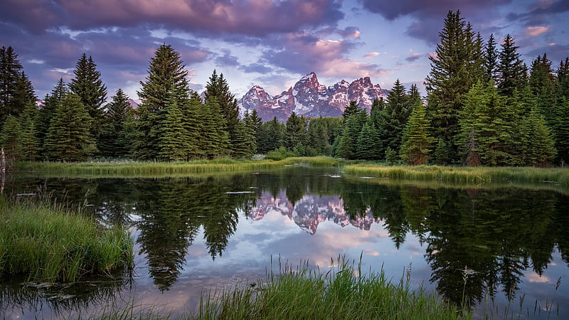 lake, reflection, trees, scenery, clouds, sky, summer, Nature, HD wallpaper