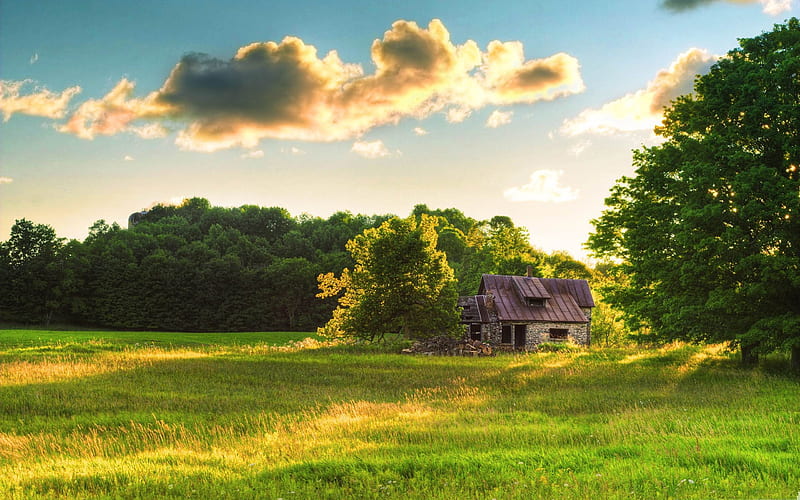 house-Summer landscape, HD wallpaper
