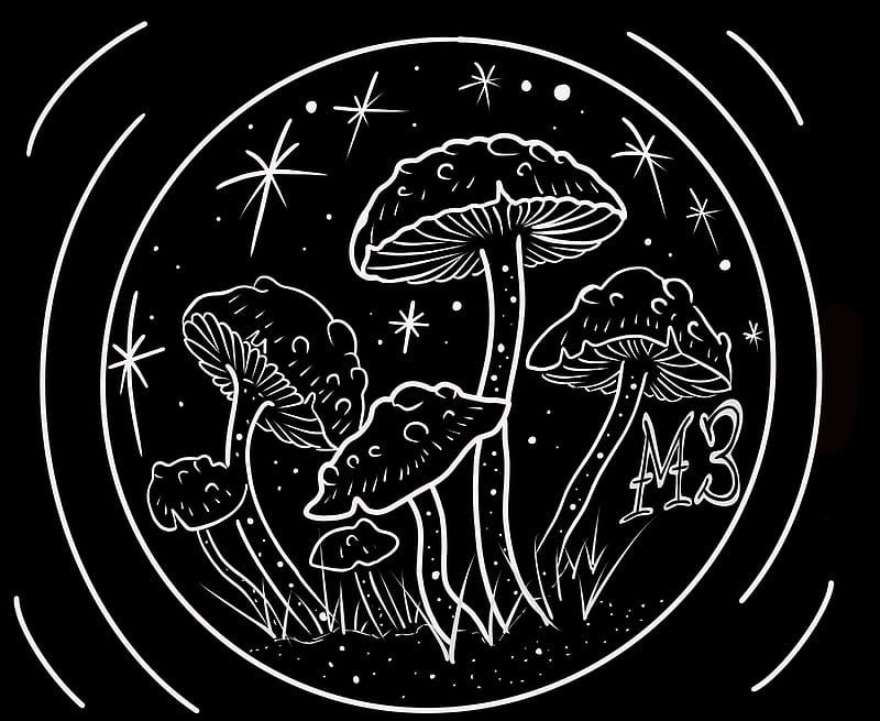 Shrooms, magic, mushrooms, mycologists, HD wallpaper