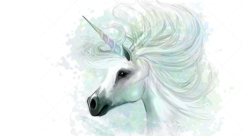 White Horn Unicorn In White Background Unicorn, HD wallpaper