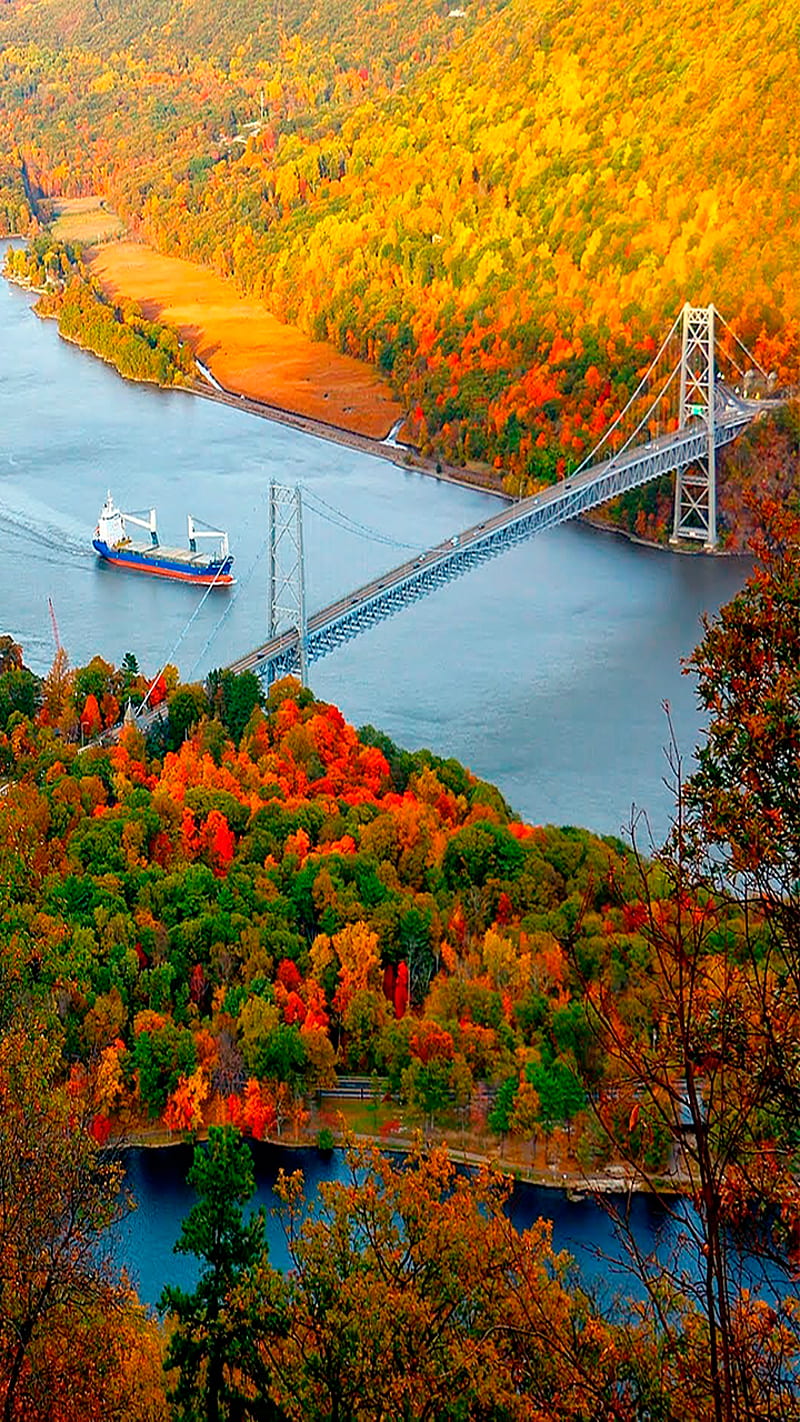 barge autumn 2, bridge, lake, landscape, nature, river, HD phone wallpaper