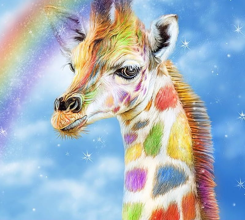 colorful giraffe print wallpapers