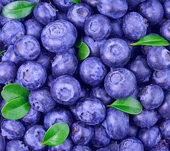 Page 10 Hd Blueberry Wallpapers Peakpx