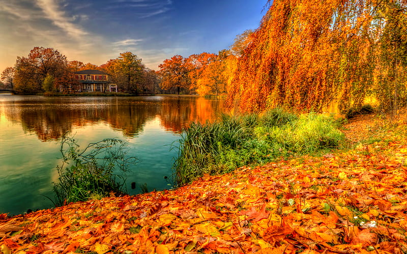 Peaceful Place, sunny autumn, fall, colorful, autumn, house, grass, autumn leaves, sunny, bonito, carpet, clouds, leaves, splendor, green, beauty, reflection, lovely, view, houses, colors, sky, trees, lake, tree, water, autumn colors, peaceful, carpet of leaves, nature, landscape, HD wallpaper