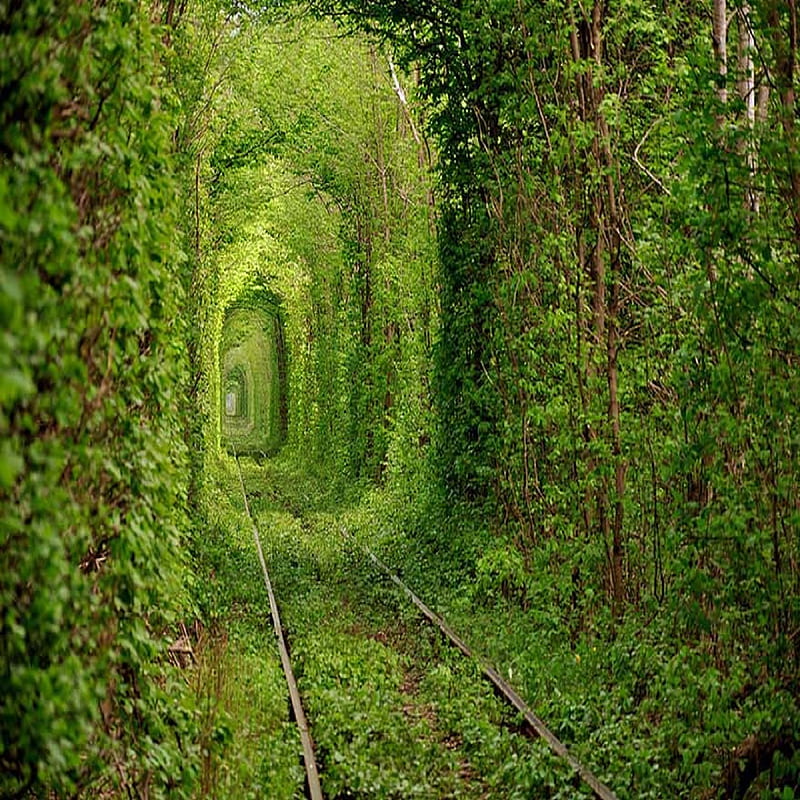 Ukraine Tunnel, covered, forest, green, tracks, train, tree, tunnel, ukraine, HD phone wallpaper