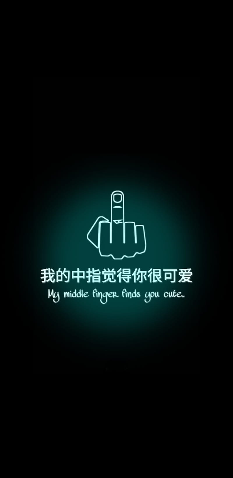 Middle Finger black white finger likes middle quote saying you HD  wallpaper  Peakpx