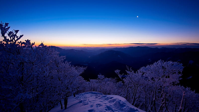 moon over mountain panorama at dusk, moon, horizon, mountains, dusk, trees, winter, panorama, HD wallpaper