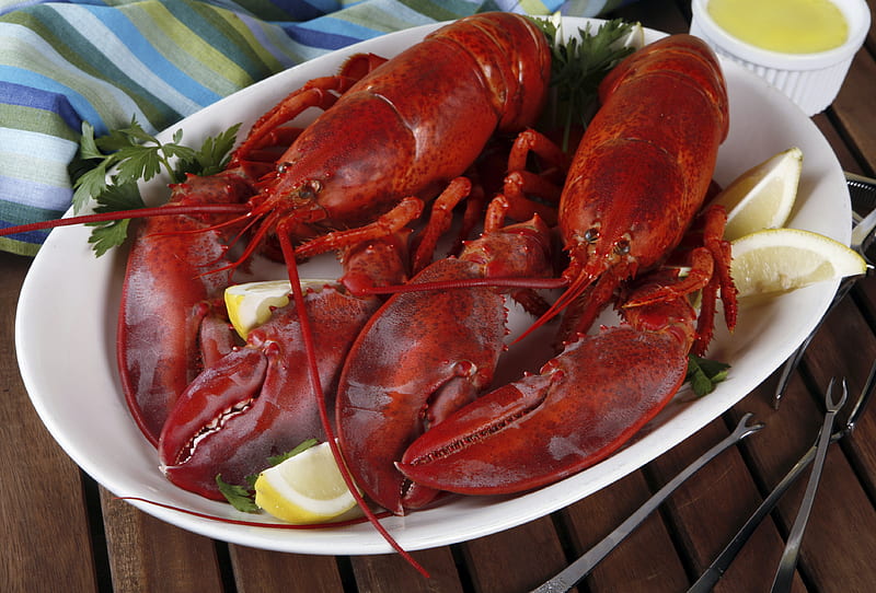 Lobster Dinner, dinner, seafood, food, lobster, HD wallpaper