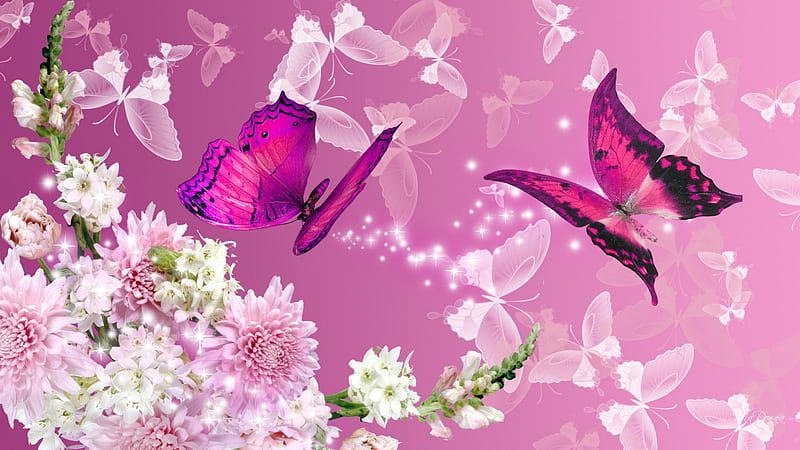 Story of Summer, flowers, astor, butterflies, spring, carnations, wonderous, butterfly, bright, summer, blossoms, papillon, flowers, blooms, pink, snap dragons, HD wallpaper