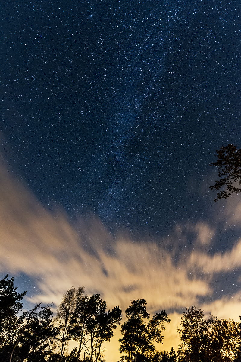 trees, starry sky, stars, clouds, HD phone wallpaper