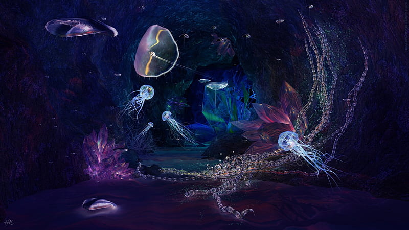 Jellyfish Sealife Underwater, Jellyfish, Sealife, Oceans, Underwater, Nature, HD wallpaper
