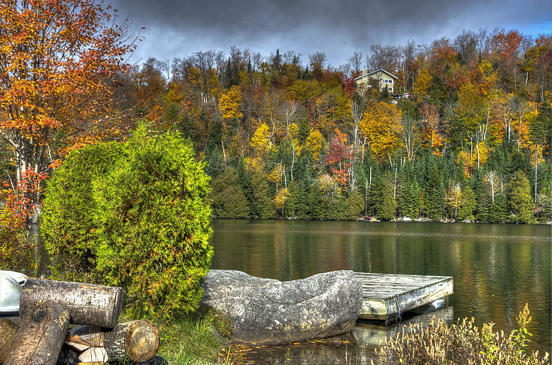 Autumn in Quebec, river, trees, canada, forest, leaves, colors, HD