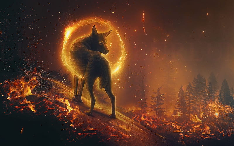 Fantasy wolf, fire, fantasy, luminos, orange, lup, wolf, HD wallpaper