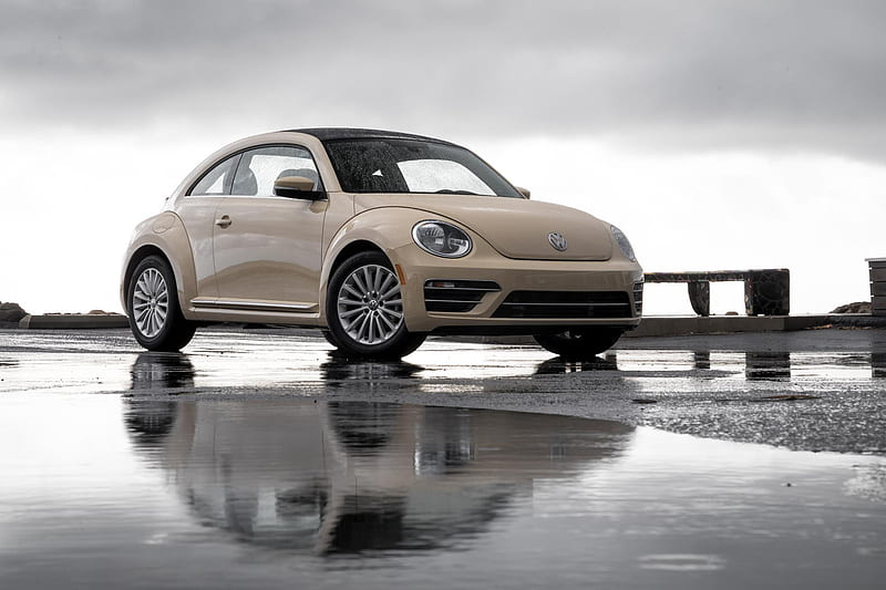 Volkswagen Beetle, 2019 vw, car, HD wallpaper