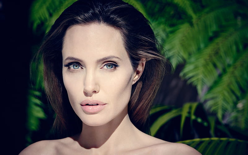 Angelina Jolie, american actress, portrait, make-up, beautiful woman, HD wallpaper