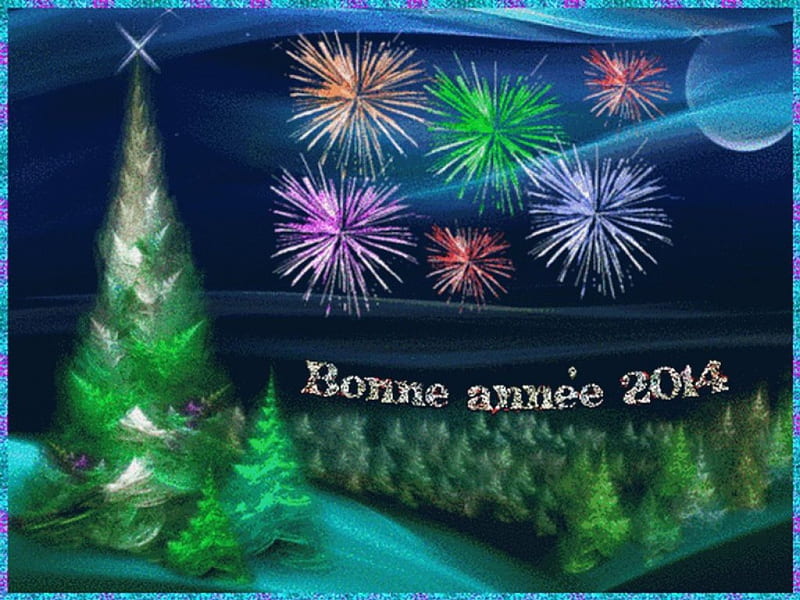 Bonne Annee, trees, fireworks, New Year, 2014, HD wallpaper
