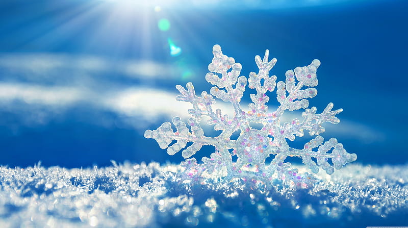 amazing flake, sun, clean, colors, pure, winter, sparkles, snowflake, graphy, snow, beauty, nature, reflection, white, HD wallpaper