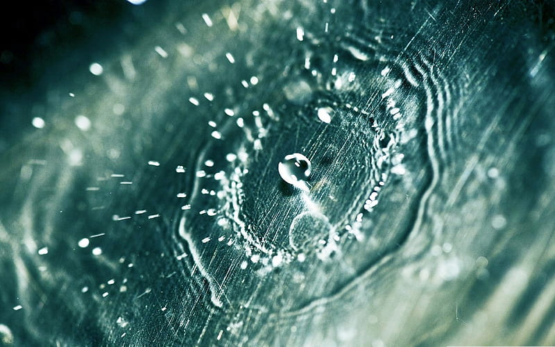 Drops of water droplets macro graphy 03, HD wallpaper