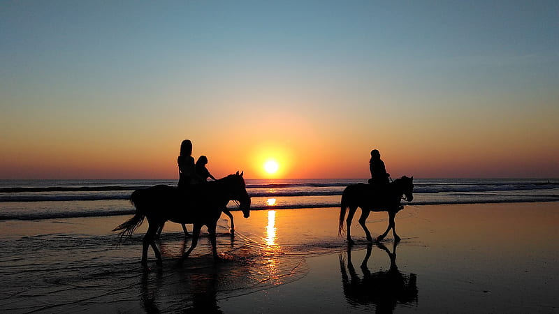 silhouette of three person riding on horse beside sea during golden hour, HD wallpaper