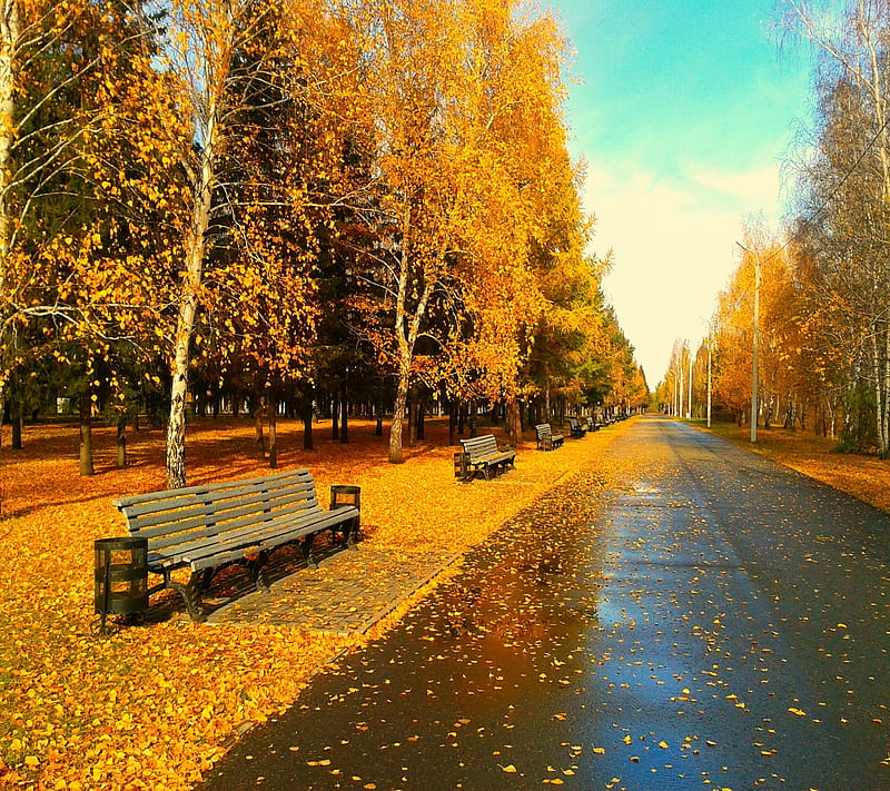 Autumn, 2160x1920, HD wallpaper