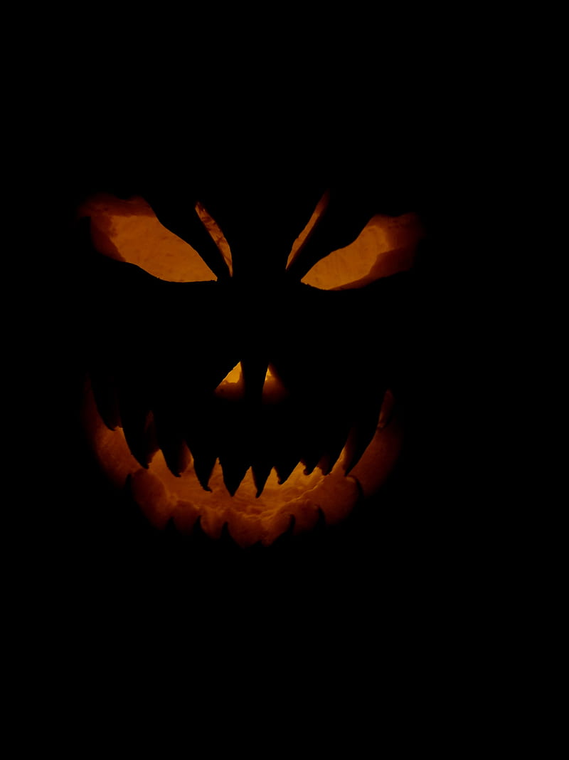Creepy Halloween , pumpkins, witch, halloween pumkin, pumpkin, skull, theme, halloween pumpkins, girl, scary, HD phone wallpaper
