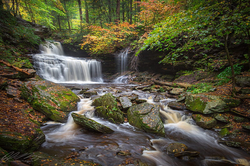 Ricketts Falls, waterfall autumn, forest, river, autumn landscape, USA, Ricketts Glen State Park, Pennsylvania, HD wallpaper