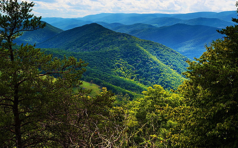 Verdant mountains of West Virginia, trees, hills, forest, valley, usa, HD wallpaper